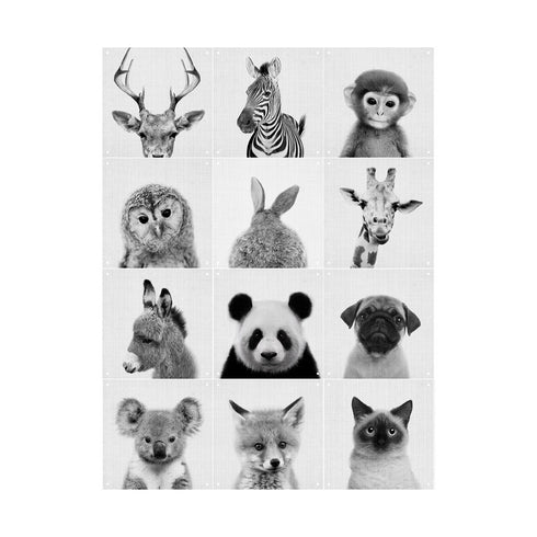 IXXI - Lila and Lola - Animal Family Collage